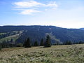 Deutsch: Skistrecken Grafenmatt (links) und Fahler Loch (rechts) vom Feldberg bzw. Seebuck aus gesehen