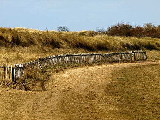 Fence at Donna Nook - geograph.org.uk - 2303872