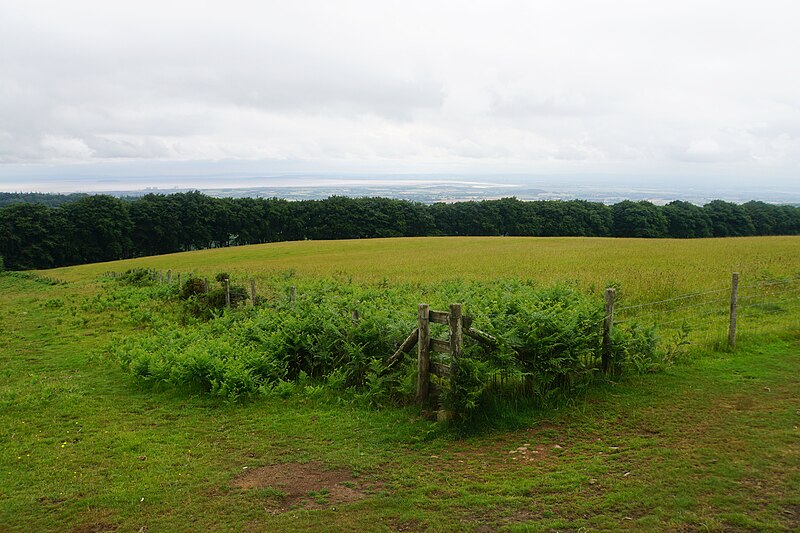 File:Fence corner on Lydeard Hill - geograph.org.uk - 5492725.jpg