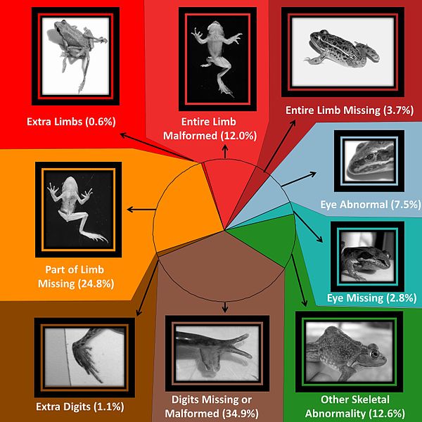 File:Figure 1 abnormalitypie (10945300526).jpg