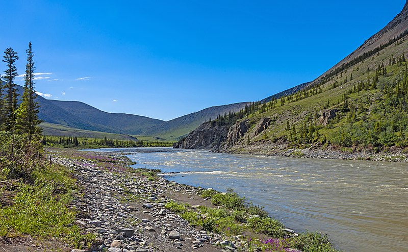 File:Firth River banks in mountain reach, Ivvavik National Park, YT.jpg