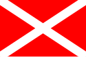 Vlag