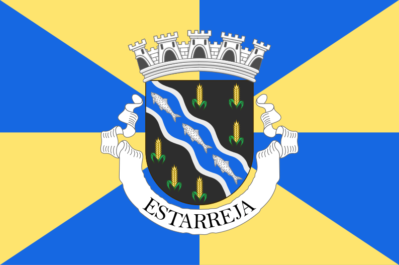 File:Flag of Estarreja.svg