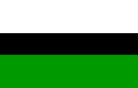 Plik:Flag of Kadrina vald.svg