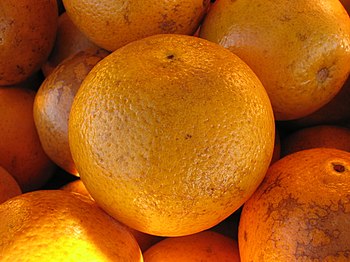 Florida navel oranges