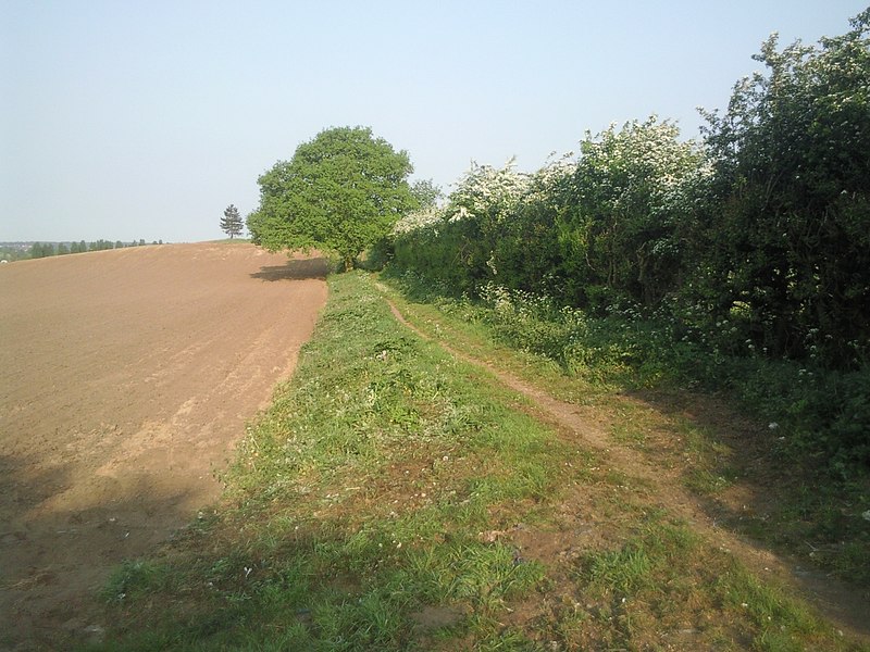 File:Footpath along a field edge near Swanley - geograph.org.uk - 2435399.jpg