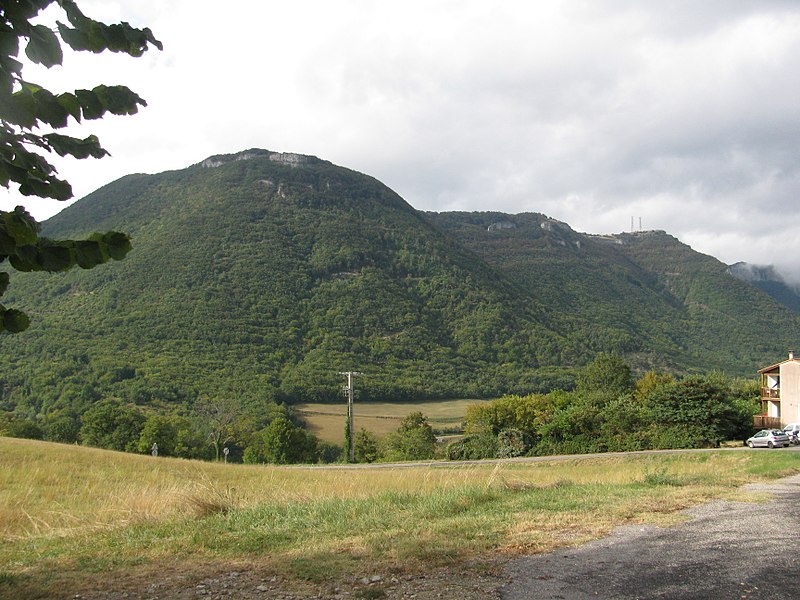 File:Forêt à Truinas.jpg