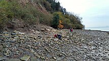 Fossil Beach, nispeten yeni bir uçurum düşüşünü gösteriyor.