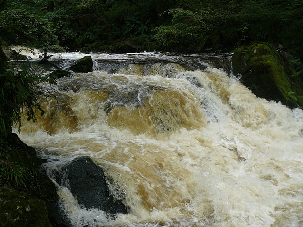 Golitha Falls