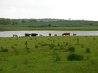 Gadloch Lake in the United Kingdom