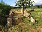 Menhir von Bredelem (Kopie)