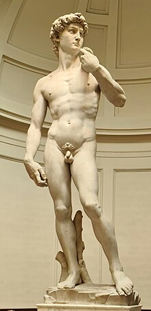 Galleria dell'Accademia Florenz David Michelangelo.jpg