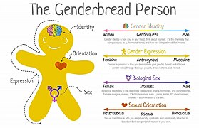 Genderbread Person.jpg