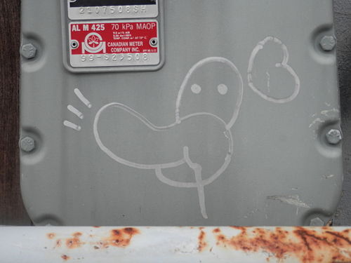 Graffiti of a Duck