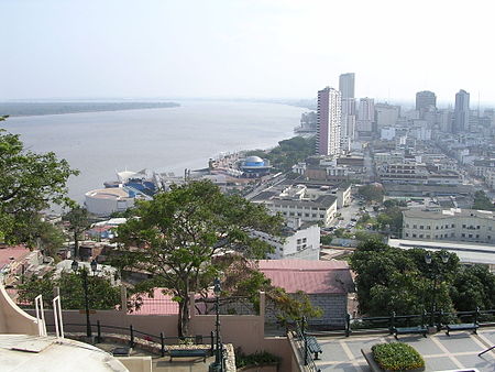 Guayas from Santa Ana.JPG