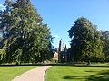 Wentworth Elm (left), Holyrood Palace gardens, Edinburgh (2014)