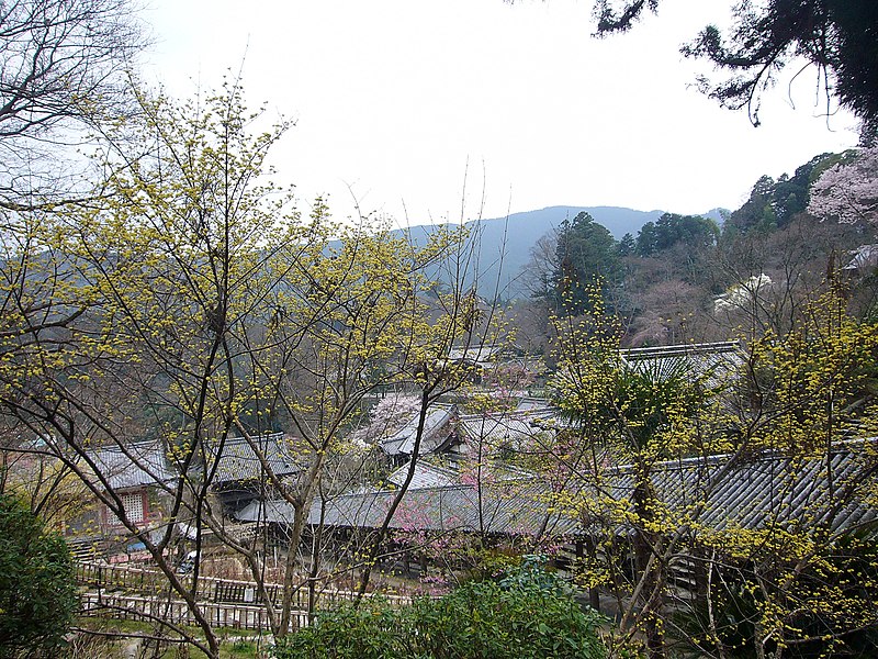 File:Hasedera Temple 長谷寺 - panoramio (10).jpg