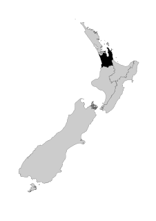 Hauraki-Waikato Māori electorate in New Zealand