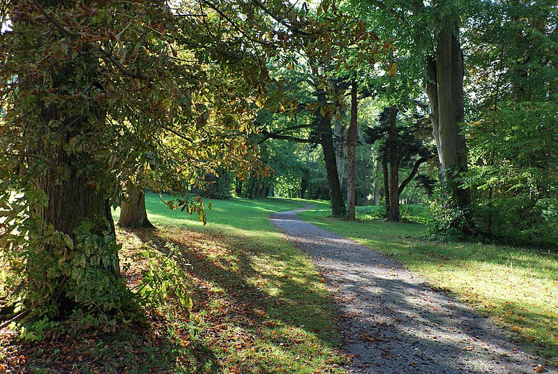 File:Herbst im Schlosspark Hemmingen.jpg