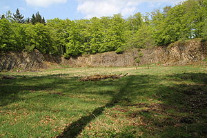 Hoher Berg bei Bad Orb