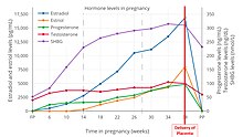 Maternal hormone levels during pregnancy and after delivery of the placenta. Estradiol, estriol, progesterone, testosterone, and sex hormone binding globulin (SHBG) all increase throughout the pregnancy, and experience an abrupt drop-off after delivery of the placenta. Hormone Levels in Pregnancy and Postpartum Period.jpg