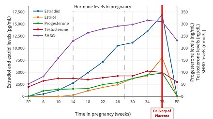 Maternal hormone levels during pregnancy and after delivery of the placenta. Estradiol, estriol, progesterone, testosterone, and sex hormone binding globulin (SHBG) all increase throughout the pregnancy, and experience an abrupt drop-off after delivery of the placenta.[24][25]