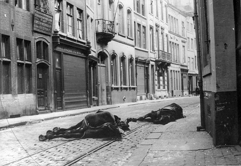 File:Horses-lying-dead-in-the-street-of-Belgium-1940-352109285344.jpg