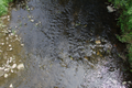 Die Lüder von der Brücke über die Lüder mit Niedrigwasser am Ortseingang von Hainzell