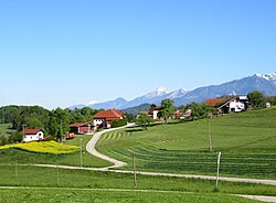Hrib Lukovica Slovenia 2.jpg