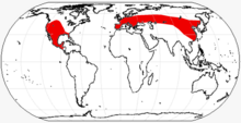 Hypertragulidae range.png