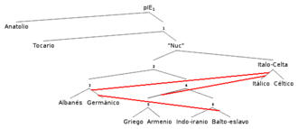 A phylogenetic network, one of many posited by the CPHL. The phylogenetic tree appear in black lines. The contact edges are the red lines. Here there are three, the most parsimonious number required to generate a feasible network for Indo-European. IE newtwork.png
