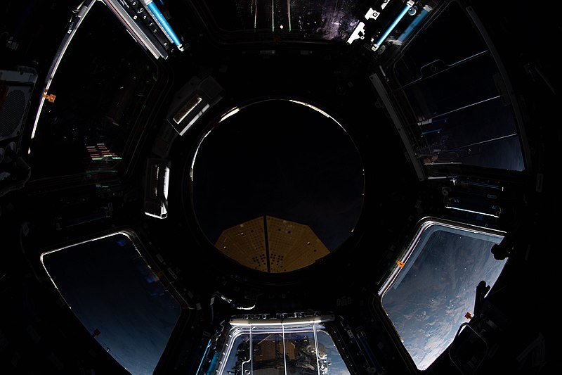 File:ISS061-E-101834 - View of Earth.jpg