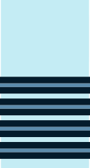 An Indian Air Force group captain's sleeve/shoulder insignia