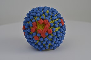 Beschrijving van het Influenza Virus (14570577473) .jpg-afbeelding.