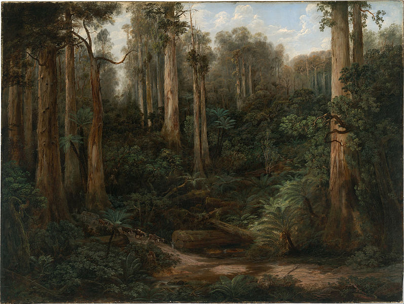 File:Isaac Whitehead - A Sassafras Gully, Gippsland - Google Art Project.jpg