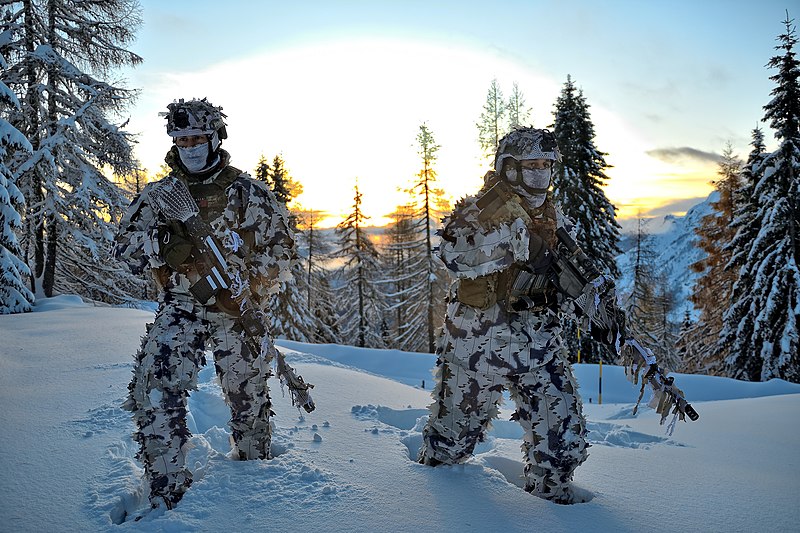 File:Italian Army - 8th Alpini Regiment sniper team during exercise Abbey Road 2019.jpg