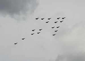 JAS 39 Gripen Air show.JPG