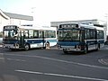 下北本線 左：P331-02531、右：P331-01531 JRバス田名部駅にて