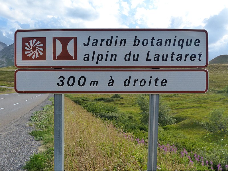 File:Jardin botanique alpin du Lautaret 300 m à droite 02.jpg