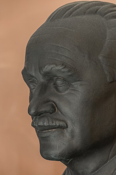 File:Johann Radon (1887-1956), Nr. 107, bust (bronze) in the Arkadenhof of the University of Vienna-2896.jpg