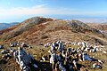 霊仙山山頂部のカルスト地形（滋賀県）