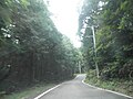 生名鷲ヶ尾 徳島県道146号鶴林寺線 (6)