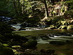 Tal des Kleinen Kösslbaches