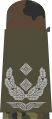 b Aufschiebeschlaufen mit hellgrauen Em­blemen auf stein­grau-olivem Grund­gewebe für Luftwaf­fenuniformträger (hier: Oberstleutnant)