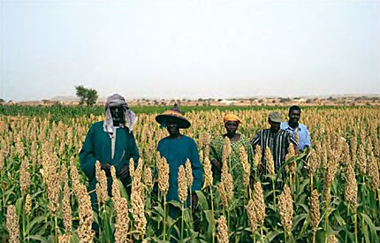 Foto: Helena Gómez MacPherson. Bélinabé, regió del Gorgol (Mauritania), 13-10-04