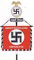 Estendard nazi molt present a les manifestacions