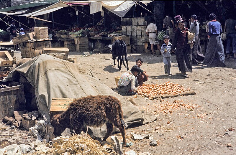 File:Ladakh1981-320.jpg