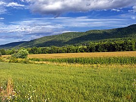 Leroy Township (Pennsylvanie)