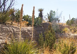 <span class="mw-page-title-main">Living Desert Zoo and Gardens State Park</span> State park in New Mexico, United States