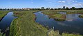 London Wetland Centre